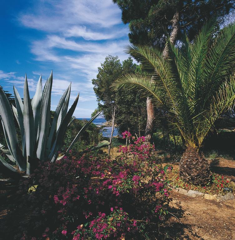Hotel Le Mas Du Langoustier Porquerolles Exteriér fotografie